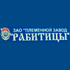 ЗАО «Племенной Завод «Рабитицы»»