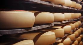 10 главных причин, почему нужно инвестировать в производство сыра