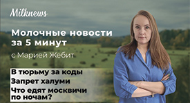 Молочные новости за 5 минут: в тюрьму за коды, запрет халуми и что едят москвичи по ночам