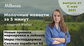 Молочные новости за 5 минут: новые правила маркировки и борьбы с лейкозом, меры поддержки от Союзмолоко и сколько заработал Х5