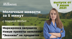 Новости за 5 минут: маркировка запущена, новые проекты заявлены, “Эконива” не продается