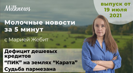 Новости за 5 минут: дефицит дешевых кредитов, “ПИК” на землях “Карата” и судьба пармезана