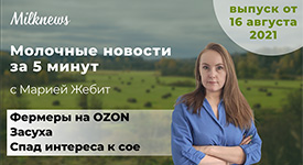 Новости за 5 минут: фермеры на OZON, засуха и спад интереса к сое