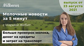 Новости за 5 минут: больше проверок молока, денег на кредиты и затрат на транспорт