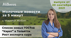 Новости за 5 минут: список новых ГОСТов, “Карат” в Тольятти, рост экспорта сыра