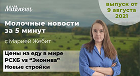 Новости за 5 минут: цены на еду в мире, РСХБ vs “Эконива” и новые стройки