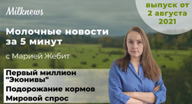 Новости за 5 минут: первый миллион «ЭкоНивы», подорожание кормов и мировой спрос