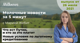 Новости за 5 минут: что ест Путин, и кто за это платит, а также новые условия по льготному кредитованию АПК
