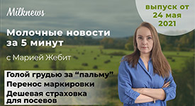Новости за 5 минут: голой грудью за “пальму”, перенос маркировки и дешевая страховка для посевов