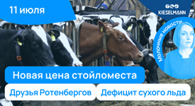 Новости за 5 минут: сколько стоит стойломесто, кто пришел в молоко и кто лучший в Татарстане?