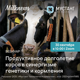 Мустанг-сент