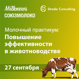 эффективность 27 сентября