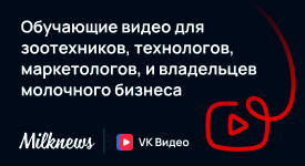 ВК ВИДЕО