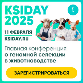 KSIDAY 25