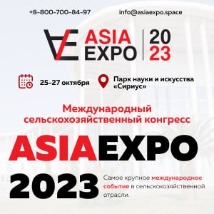 asia-expo