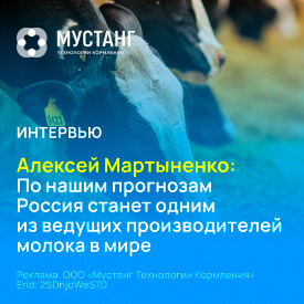 Мустанг Интервью