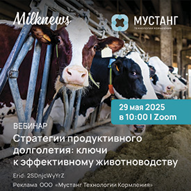 Долголетие Мустанг
