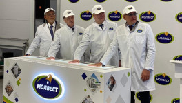 «Молвест» открыл производство концентрата молочного белка в Воронежской области