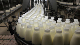 С 2024 года Минсельхоз РФ собирается субсидировать капзатраты только на крупные проекты в молочной отрасли