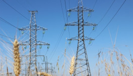 Союзмолоко просит отрегулировать тарифы на электроэнергию для аграриев