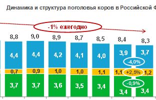 Поголовье коров в РФ за первые 2 месяца 2017 года снизилось на 1,5%