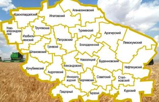 Регионы: Ставропольский край