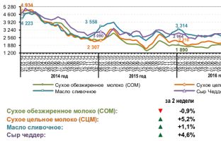 Индекс цен GDT установил новый годовой рекорд
