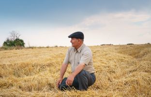 Новые документы: использование кредитов и отбор проектов