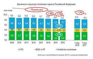 Поголовье коров в РФ в I квартале 2017 года снизилось на 1,3%