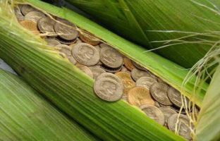 Новые документы: отбор проектов и использование кредитов