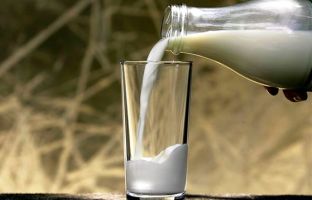 Цены на питьевое молоко в I квартале увеличились у промпроизводителей на 7,9%, в рознице – на 8,6%