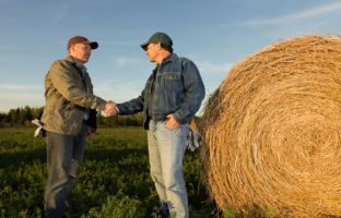 Новые документы: тарифные квоты, кооперативы и контрольные вопросы