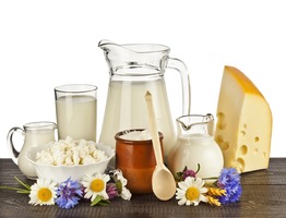 Импорт молочной продукции в РФ в январе-мае 2017 года вырос на 6%