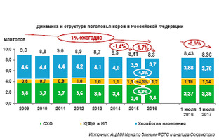 Поголовье коров в РФ в I половине 2017 года снизилось на 0,9%