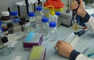 Новые документы: ветеринарный надзор и подконтрольные товары