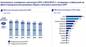 Программа по племенному скотоводству: текущая ситуация на рынке