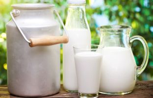 Простыми словами: отличия молока