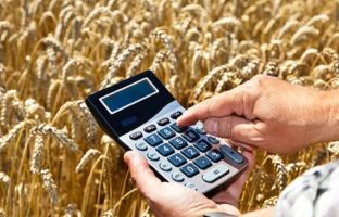 Простыми словами: кредиты под 5%