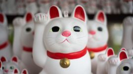 Как у них: В чем уникальность сельскохозяйственных кооперативов в Японии?