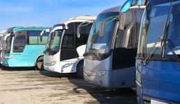 Транспортные требования могут поставить под угрозу перевозку работников АПК на поля и фермы