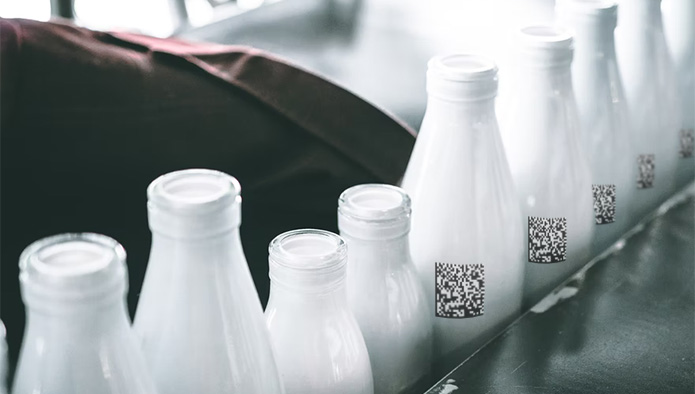 Контрольная работа по теме Производство молочных продуктов