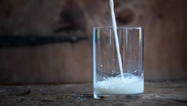 Как повысить жирность молока с помощью сбалансированного рациона