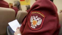 Доклад Роспотребнадзора: как чаще всего проверяют молочников?