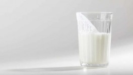 5 главных вопросов о кефире, кефирных грибках и кефирном продукте