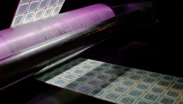 Насколько типографии готовы к маркировке молочной продукции