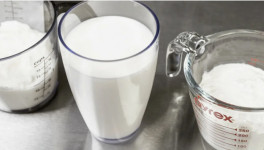 Тенденции и динамика рынка высокобелковых продуктов