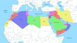 Что происходит на молочном рынке стран MENA