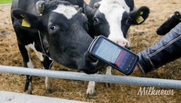 Как работает М2 - органик-ферма, объединяющая IT-технологии и системы сохранности