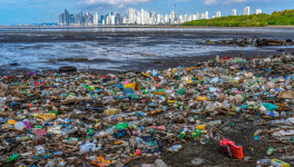 Как ООН планирует сокращать использование пластика