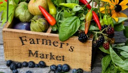 6 секретов продаж фермерской продукции